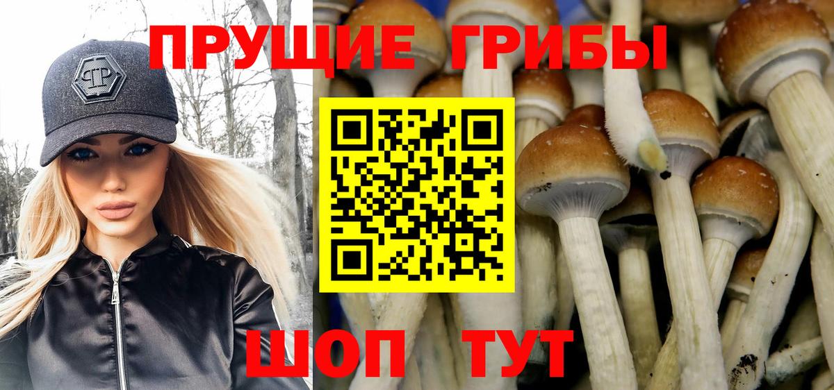Псилоцибиновые грибы Magic Shrooms Оренбург