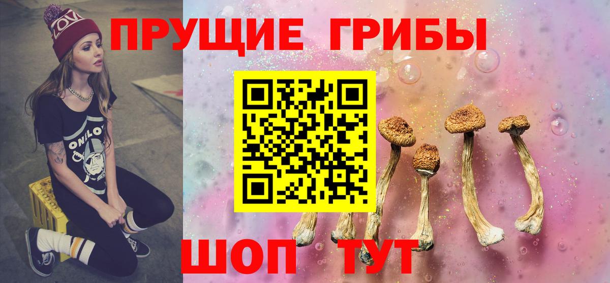 Оренбург  Псилоцибиновые грибы Cubensis  Псилоцибиновые грибы Magic Shrooms  Вход с VPN 